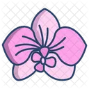 Orchid Flower Flowers Icon