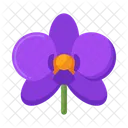 Orchid Flower Nature Icon