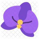 Orchid  Icon