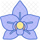 Orchid  Icon