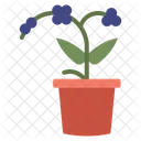 Orchid Flower Plant Icon