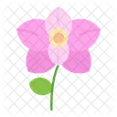 Flower Nature Plant Icon