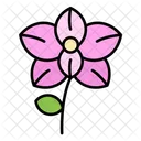 Flower Nature Plant Icon