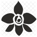 Orchid Flower Icon