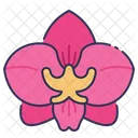 Cartoon Orchid Icon