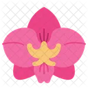 Flat Orchid Icon