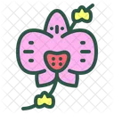 Orchidee Fleur Floral Icon