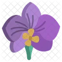 Orchidee  Symbol