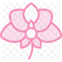 Fleur Dorchidee Fleur Dorchidee Orchidee Icon