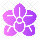 Orchidee  Symbol