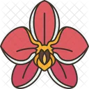 Orchidee  Symbol