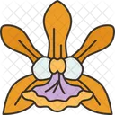 Orchids Encyclia Flower Icon