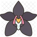 Orchids Floral Flowers Icon