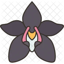 Orchids  Icon