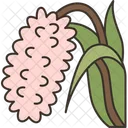 Orchids Foxtail Blooming Icon
