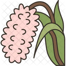 Orchids  Icon