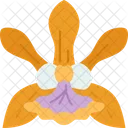 Orchids Encyclia Flower Icon
