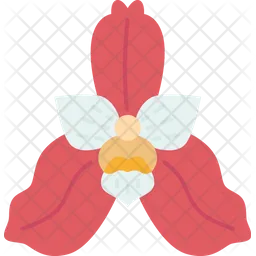 Orchids  Icon