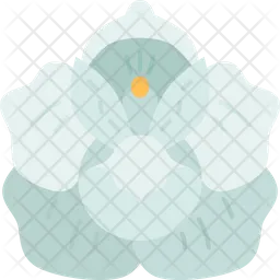 Orchids  Icon