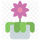 Orchids Flower  Icon