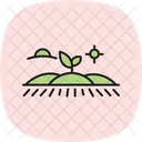 Ordentlich Bepflanzt Feld Symbol