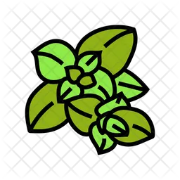 Oregano  Icon