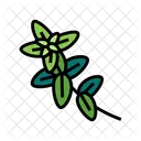 Oregano  アイコン