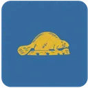 Oregon Reverse Icon