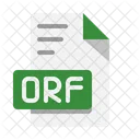 Orf File Technology File Icon