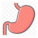 Organ Stomach Human Icon
