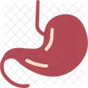 Organ Human Anatomy Icon