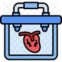 Organ Donation  Icon