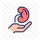 Organ Donation Kidney Icon