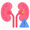 Organ Failure Kidney Failure Kidney Disease Icon