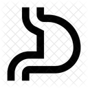 Organ Stomach Digestion Icon