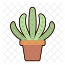 Organ Pipe Cactus Flora Exotic Icon