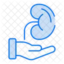 Organ transplantation  Icon