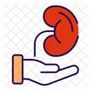 Organ Transplantation Kidney Donor Icon