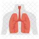 Organe Respiratoire Poumons Asthme Icône