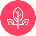 Beauty Diet Organic Icon
