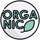 Organic Healthy Fresh Icon