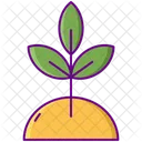 Organic  Icon