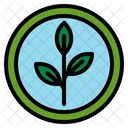 Organic Leaf Natural Biology Sciene Icon