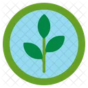 Organic Leaf Natural Biology Sciene Icon