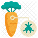 Organic Carrot  Icon