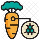 Organic Carrot  Symbol