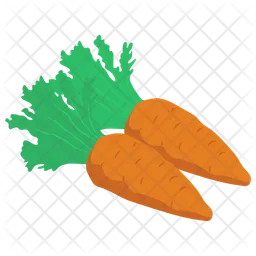Organic Carrots  Icon
