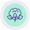 Organic Cotton Field Organic Cotton Icon
