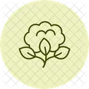 Organic Cotton Field Organic Cotton Icon
