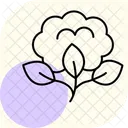 Organic Cotton Field Organic Cotton Icon